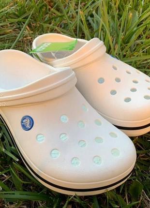 Crocs white сабо crocband мужские кроксы белые4 фото