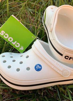 Crocs white сабо crocband мужские кроксы белые6 фото