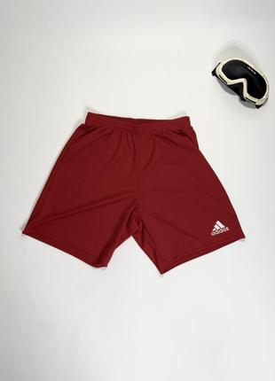 Шорты мужские adidas1 фото