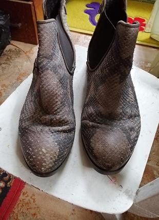 Ботинки кожа 6
