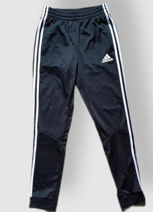 Штаны спортивные adidas