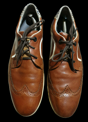 Оригинальные кожаные туфли floris van bommel