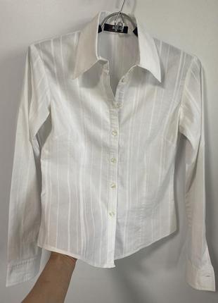 Сорочка morgan, блузка біла бавовна3 фото