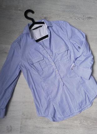 Блуза zara basic