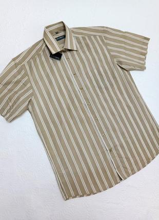 Мужская тенниска, рубашка club d'amingo m/39/40
