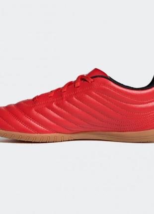 Футбольные бутсы adidas copa 20.4 in ef19283 фото