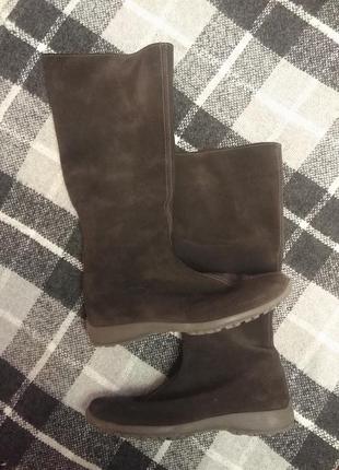 Чоботи натуральний замш
