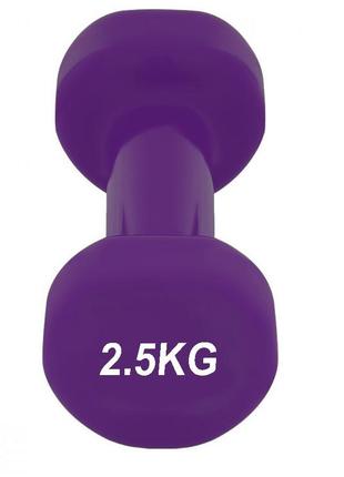 Гантель вінілова powerplay 4125 achilles 2.5 кг. фіолетова (1шт.)4 фото