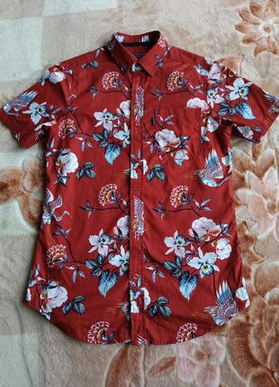 Мужская одежда/ рубашка на короткий рукав, оригинальная рубашка в цветы, гавайская рубашка 🤎 42/44/s размер / бренд outrage london/ коттон3 фото
