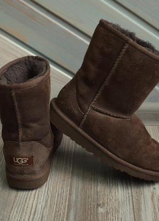 Чоботи ugg чоботи ugg ор-л 32