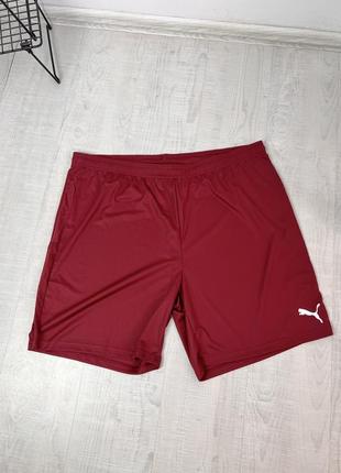 Шорти puma training short