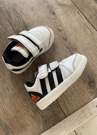 Кросівки adidas5 фото