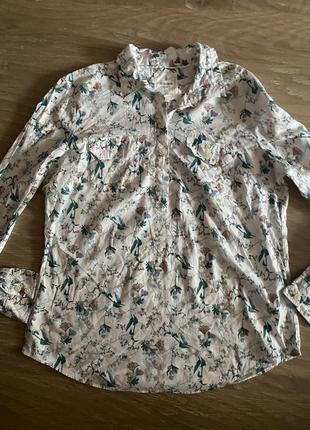 Блуза сорочка котон