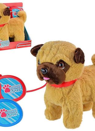 Собачка на поводке мопс лучший друг интерактивная мягкая игрушка, собака, щенок ходит лает, со звуком