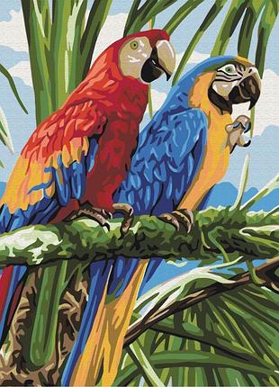 Картина за номерами 40х50 на дерев'яному підрамнику "яскраві ара" bs22339