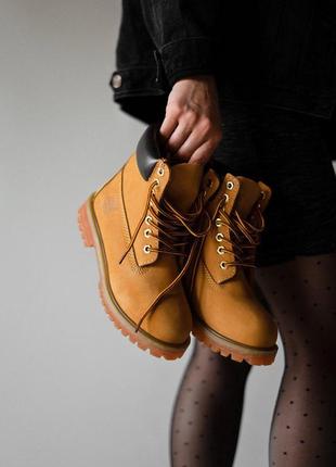 Шикарные термо ботинки timberland ginger (осень-зима-весна)😍3 фото