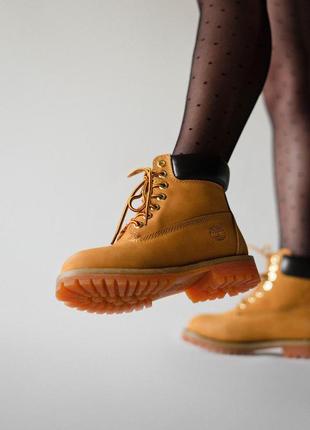 Шикарные термо ботинки timberland ginger (осень-зима-весна)😍6 фото