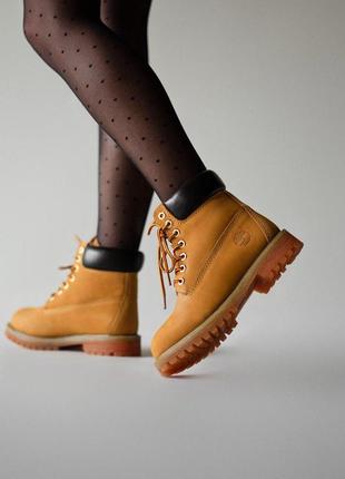 Шикарные термо ботинки timberland ginger (осень-зима-весна)😍7 фото