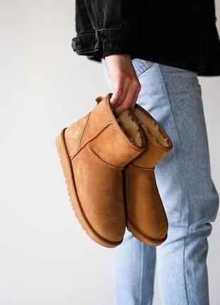 Стильные и теплые сапожки ugg classic mini chestnut(осень-зима-весна)😍