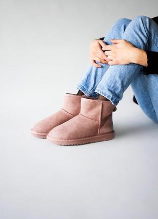 Зимние сапожки ugg classic mini dusk в розовом цвете (осень-зима-весна)😍2 фото