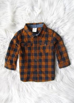 Бавовняна сорочка в клітку з довгим рукавом h&m