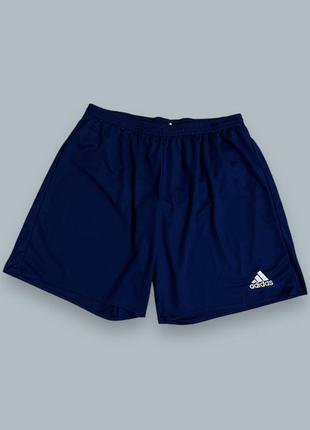 Шорты adidas climalite blue