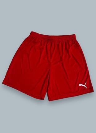 Спортивные шорты puma red basic drycell