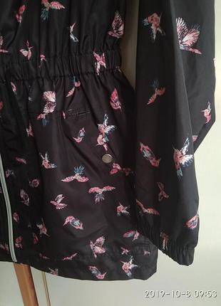 Продам вітровку фірми primark 4