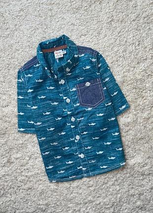 В идеальном состоянии на 18-24 мес).mini club