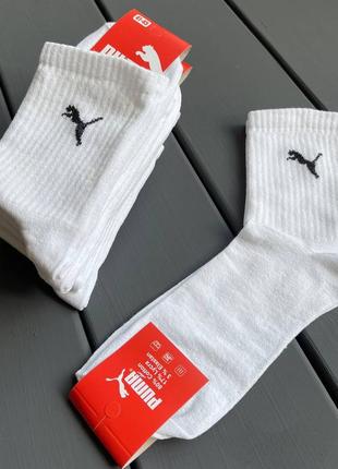Носки чоловічі puma, шкарпетки 4 пари4 фото
