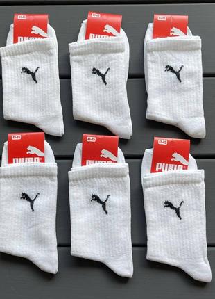Носки чоловічі puma, шкарпетки 4 пари6 фото