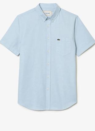 Голуба сорочка від lacoste
