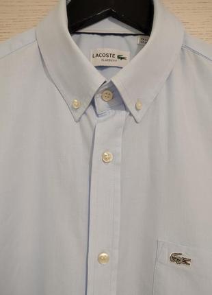 Голуба сорочка від lacoste7 фото