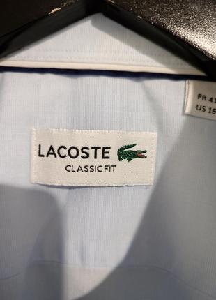 Голуба сорочка від lacoste6 фото