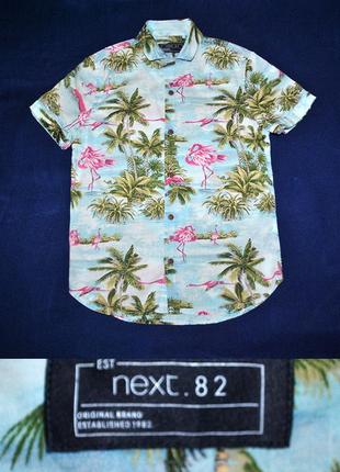 Рубашка next гавайка с пальмами и фламинго на 128-134р.1 фото