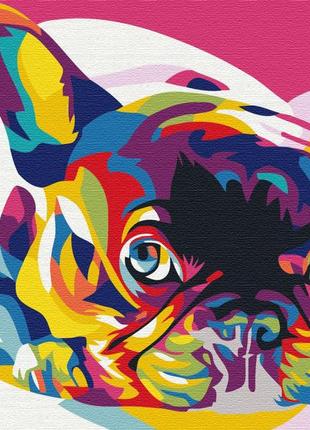 Картина по номерам "радужный французский бульдог" 40x50 bs5379
