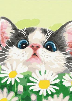 Картина за номерами "котик у ромашках" bs51569 40х50