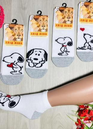 Набір білих шкарпеток із собачкою (4 пари), розмір 36-39