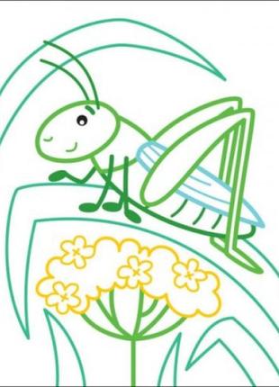 Раскраски с цветным контуром "бабочка"