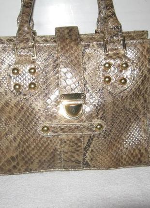 Сумка  питон
