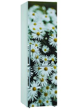 Вінілова декоративна наклейка на холодильник "ромашки"1 фото