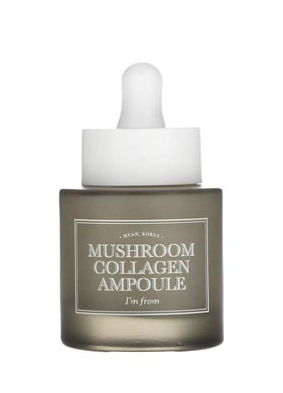 Сироватка для обличчя з фітоколагеном i'm from mushroom collagen ampoule, 30 мл