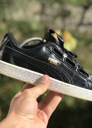 Puma basket кеді кросівки1 фото