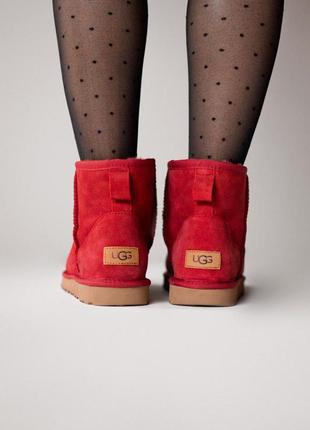 Шикарные зимние женские ugg classic wine (осень-зима-весна)😍4 фото