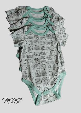 Бодік