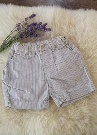 Котонові класичні  шорти zara baby