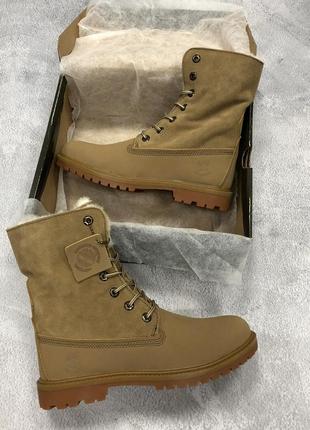 Черевики timberland бежеві