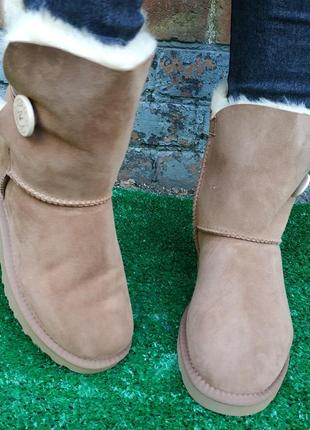 Ugg australia , купить угги женские , сапоги , унты , сноубутс , сапожки , обувь