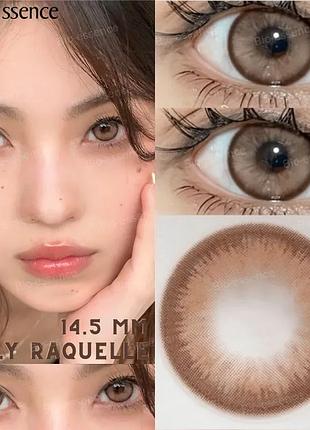 Цветные линзы для глаз коричневые dolly raquelle контейнер для хранения в подарок