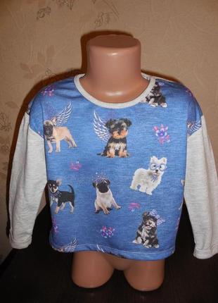 Кофта с собачками *primark*, внутри двухнить, 3-4 года (104 см)